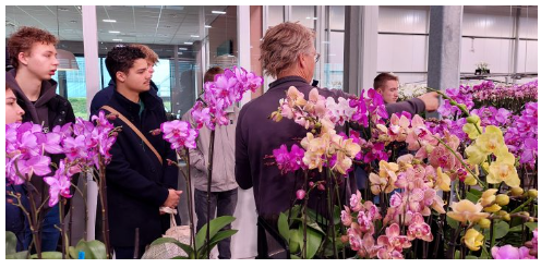 Op CollegeTour in de Glastuinbouw 